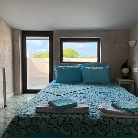 招待所 морска звезда