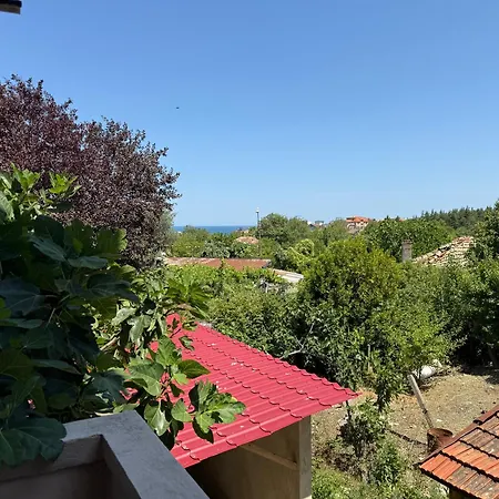 ゲストハウス морска звезда