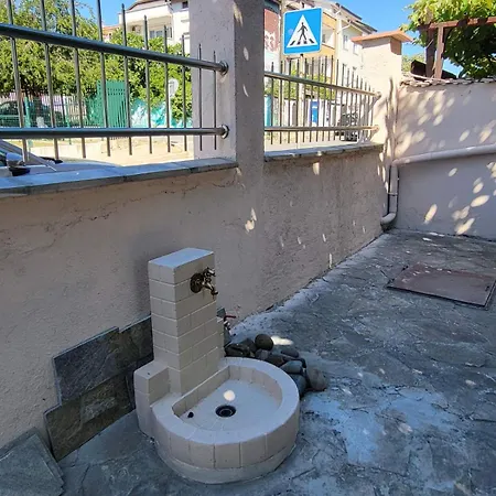 Gæstehus морска звезда